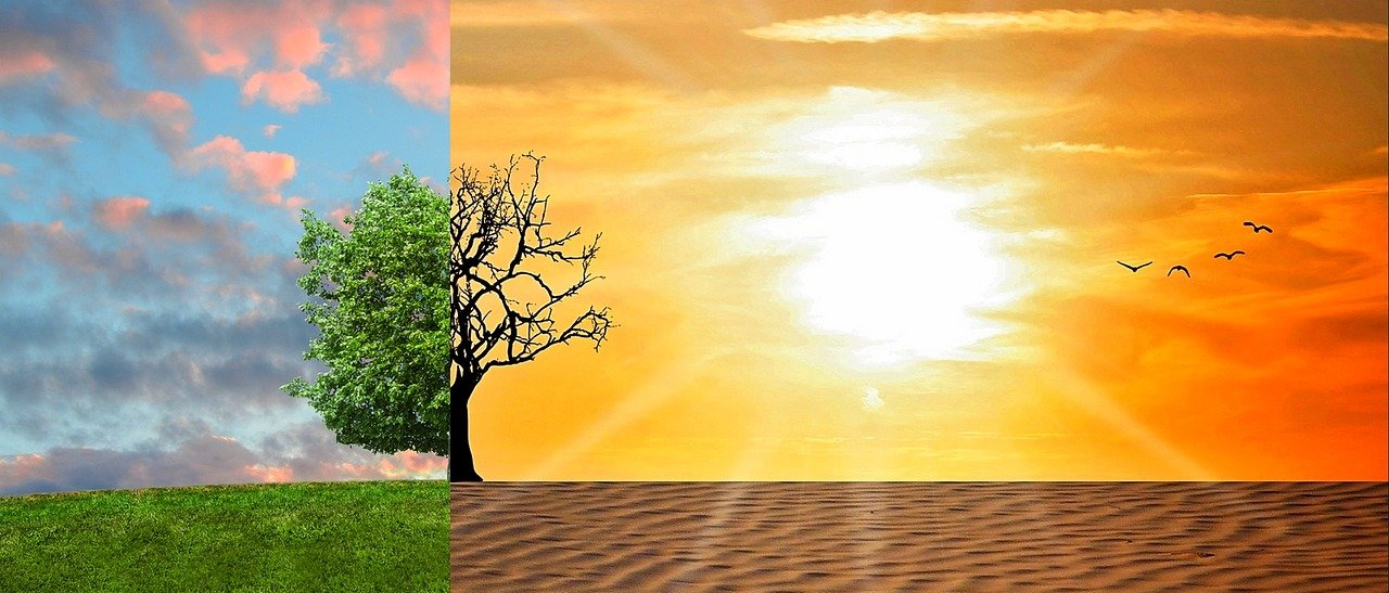 CLIMATE CHANGE
